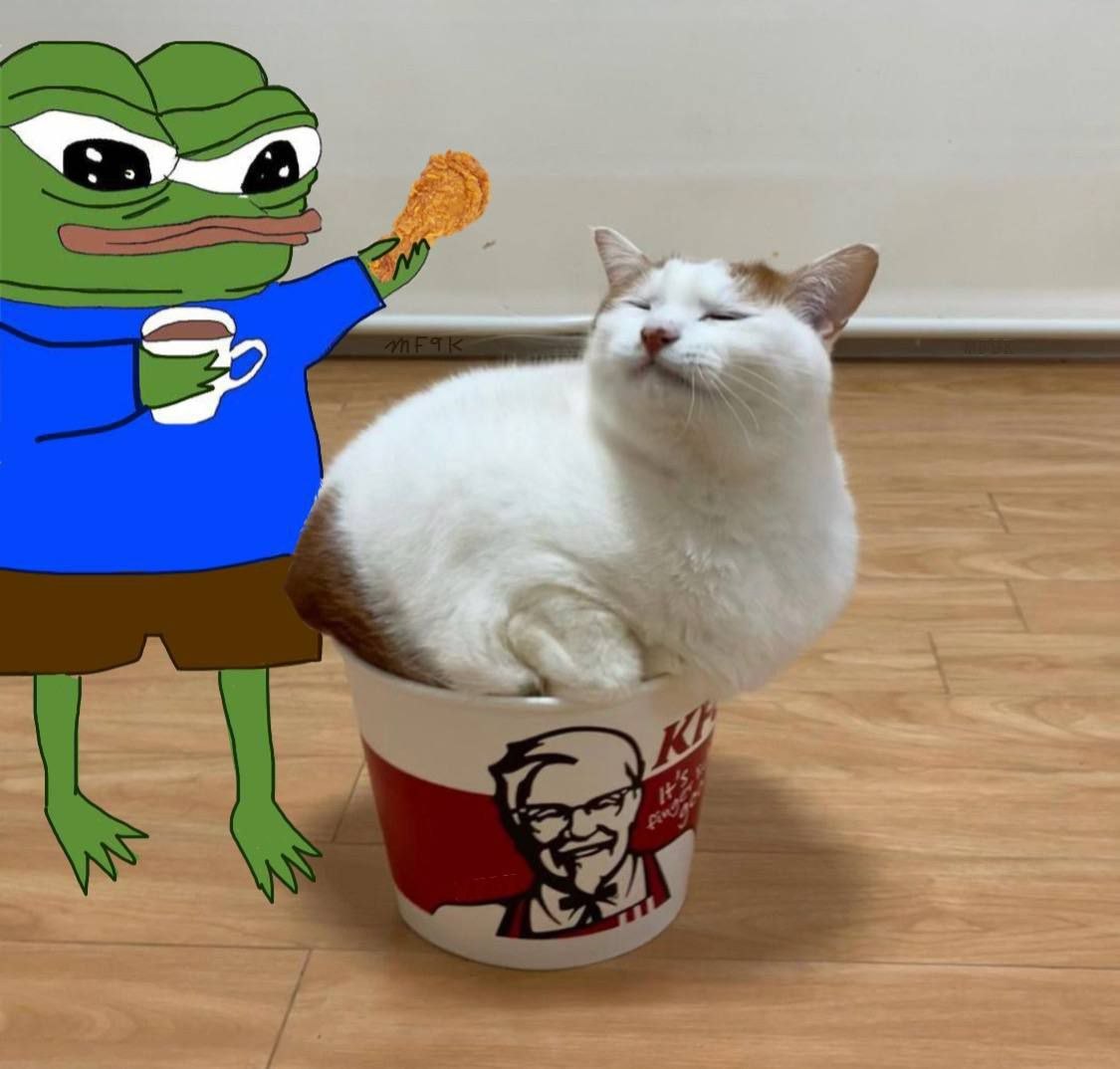 Pepe feeding a cat in a chicken bucket